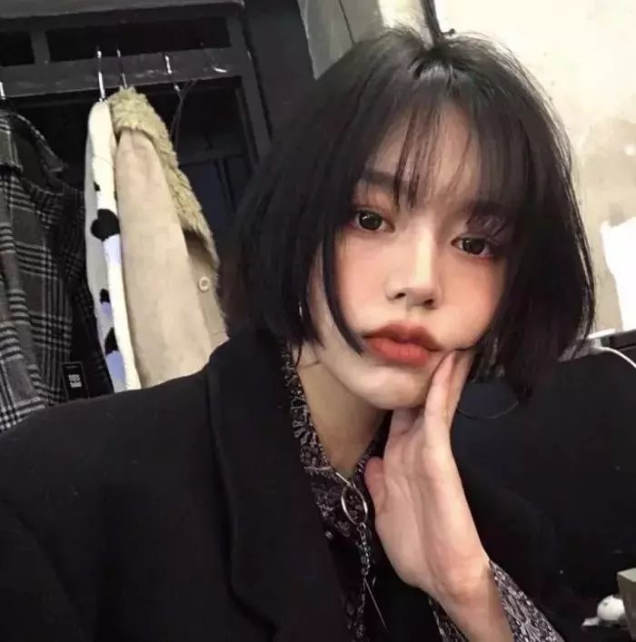 疯狂兔宝 在线观看